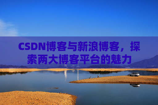 CSDN博客与新浪博客，探索两大博客平台的魅力